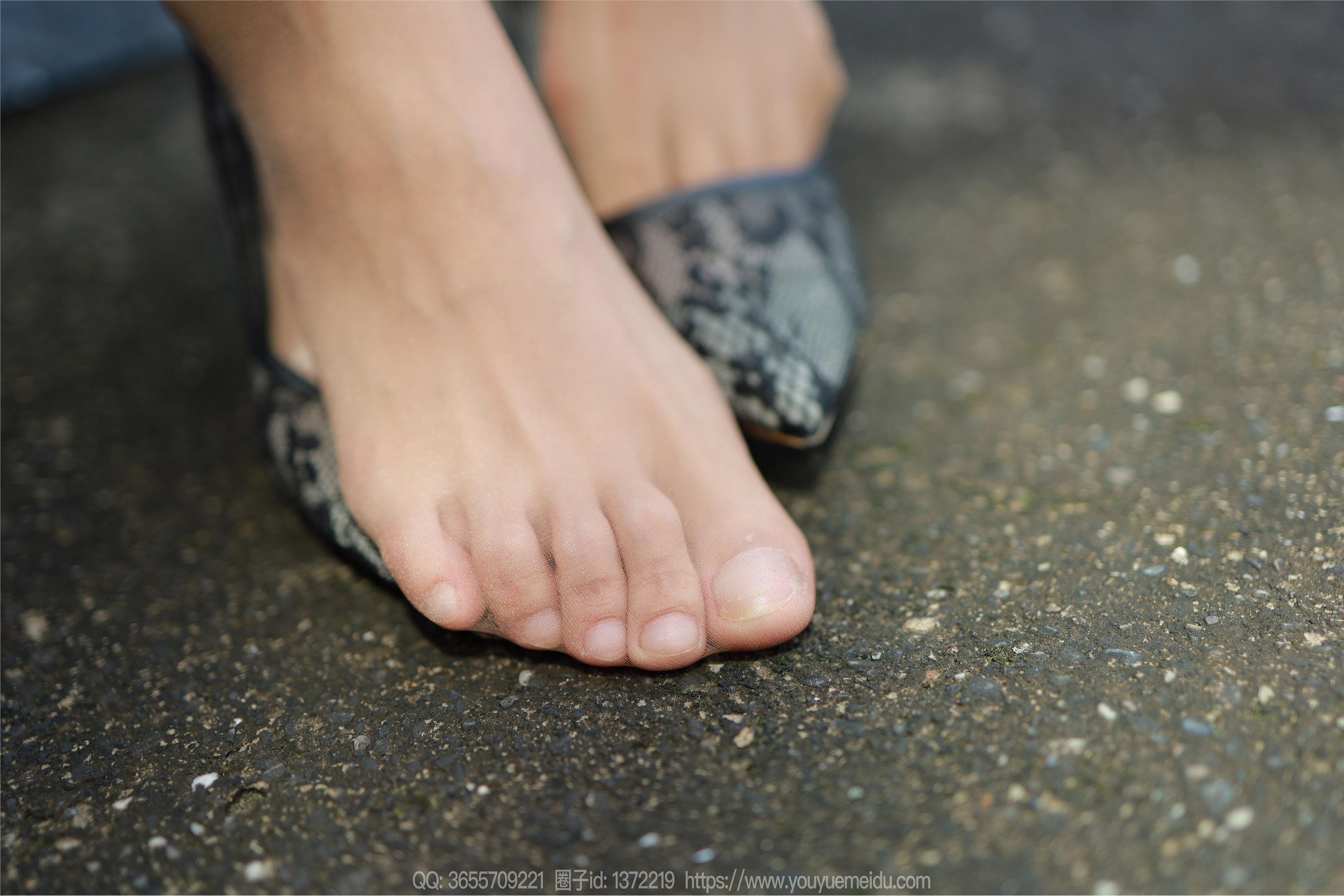 IESS异思趣向  2023.11.09 丝享家 1581 小宝《美拉德配色》